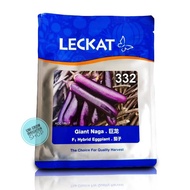 (10gm) +-2000 Biji F1 Giant Naga 332 Terung Panjang Benih Leckat / Long Eggplant