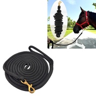 Double Braided Nylon Horse Leash Leash with Horse Hook Horse Leash Horse Walking Horse Leash Horse L