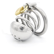 Prison bird genuine male stainless steel chastity cb6000 chastity cage penis lock penis lock A086