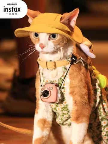 Original Fujifilm Smart Digital Camera Instax Pal Camera Smart Cute Mini Camera Photography Genie Pa