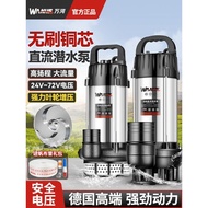 [Fast Straw] Brushless DC Submersible Pump 48V/60V/72V Volt Electric Battery Car Water Pump High Hea