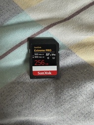 SanDisk Extreme Pro V90 256gb