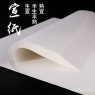ST/🧃Imperial study Half-Sized Xuan Paper Processed Rice Paper Paper Beginner Calligraphy Practice Paper Water Flower Bir
