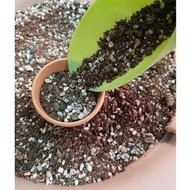 Succulents Soils mix specially mixed for succulents and cactus.