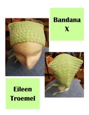 Bandana X Eileen Troemel