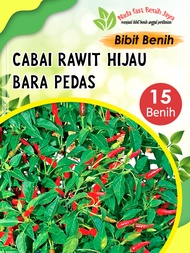 15 biji benih sayuran cabe rawit hijau bara pedas - bibit sayuran MURAH CABE RAWIT SETAN MEMBARA