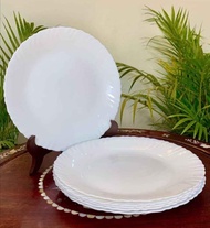 Arcopal Feston 27cm 12pc Dinner Plates Set Dinnerware Tableware Opal Glass