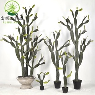 Plant Simulation Measuring Cactus Cactus Manufacturer Potted Plastic Large Cactus Cactus Plant Cactu