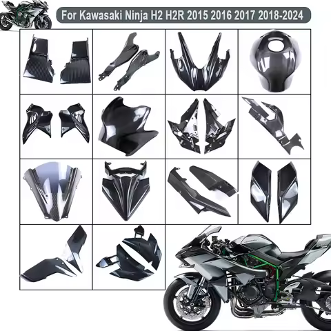 Motorcycles For Kawasaki Ninja H2 H2R 2015-2024 Sur-Ron 100% Full Carbon Fiber Lower Fairing Winglet