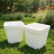 7cm WHITE SQUARE Plastic Pot, Plant Pot, Succulent Pot