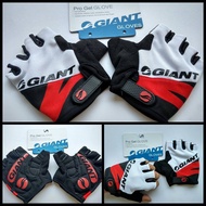 Giant Glove for mountain bike.