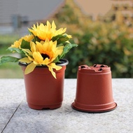 📣EZSHOP 24/7📣 Flower Pot Pasu Hiasan / Pasu Bunga / Flower Vase / Pasu Orkid