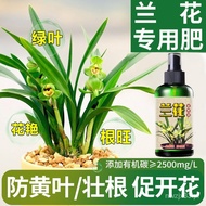 JD🥦CM Orchid Special Fertilizer Nutrient Solution Fertilizer Phalaenopsis Clivia Blue Black Organic Flowers Orchid Plant