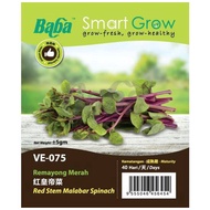 Baba VE-075 Benih Remayong Merah / Sayur / Smart Grow Red Stem Malabar Spinach Seed - Vegetable Seed