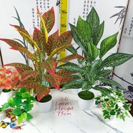 Simulation Green Plant Potted Plant Large Leaf Bonsai Plastic Plant Bonsai Green Plant Decoration Bo