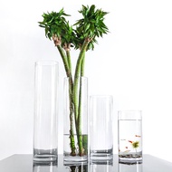 Large Transparent Glass Vase Home Wedding Exhibition Straight Barrel Flower Arrangement Decoration Cylinder Floor Oversi