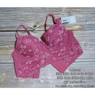 Signature US Bra 34C 34D 36B 36D