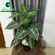 DAUN AGLONEMA ARTIFICIAL DAUN KELADI PLASTIK POT BUNGA HIAS ARTIFISIAL DAUN KELADI HIAS DEKORASI POH
