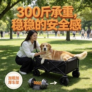 Pet Stroller Cat Dog Outing Lightweight Foldable Scooter Car Dog Walking Dog Stroller Dog Stroller B