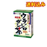 山本漢方　ウラジロガシ茶（5g×20包）