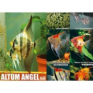 Aquatic Poster Corydoras CRS Sulawesi shrimps Altum Angel Parosphromenus 水晶虾 原斗 苏拉威西虾 二线斗鱼 鼠鱼 神仙鱼 海报