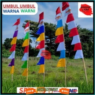 Colorful Pennant Flags 2.7 Meters Long, Very Cheapest