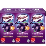 RIBENA AIR KOTAK 200MLx24 1 carton