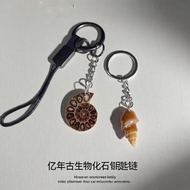 Natural Ancient Biologicals Marine Animal Fossil Ammonite Conch Fossil Key Chain Pendant Scary Colle