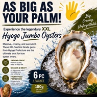 【OOSTERBAY】Jumbo XL/XXL Hyogo Oyster (Sashimi Grade)- 6pcs Frozen