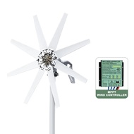 1kw 1000w Horizontal Strong Wind Turbine Generator 48V 24V 12V Power Magnetic Dynamo Free Energy 220