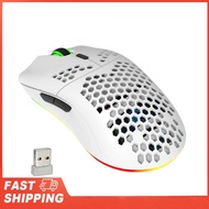 RGB Lighting Charging Mouse with Adjustable DPI Ergonomic Design HXSJ T66 RGB 2.4G Wireless Gaming M