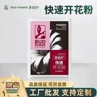 快速開花粉山茶花三角梅蘭花梔子花月季通用水溶園藝肥料花肥家用