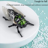 The Wind Knows It Simulation Reptile Clockwork Toy Insect Creative Toy Summer Cicada Model