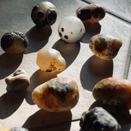 原石棗皮眼睛共生瑪瑙