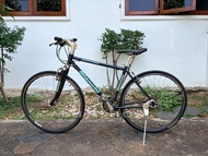 จักรยานไฮบริดญี่ปุ่น - ล้อ 28 นิ้ว - เกียร์ 3x8 (24 สปีด) - อลูมิเนียม - โช๊คหน้า - Bianchi Back Str