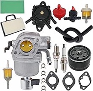 Lanigram 699807 Carburetor Fit for Briggs & Stratton 697722 491026 4045A7 401577 406577 407577 4025A