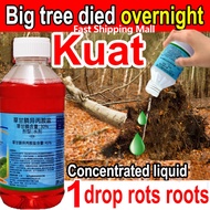 【Root rot】Tree root killer Completely kill largetreesbamboo and weeds Racun pokok kayu besar 1000g R