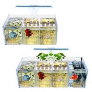 A5Aquarium LED Acrylic Fish Tank Set Mini Desktop Light Water Pump Filters
