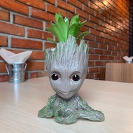 🌵พร้อมส่ง🌵 4 แบบ กระถางต้นไม้ Groot BABY GROOT กระถางแคคตัส ส่งฟรี
