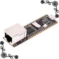 Sunshineyou-For Plus/RV1103 Linux Development Board -A7 1.2GHz+Type-C Integrated RISC-V MCU