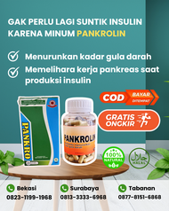 Pankrolin Kecil 90 Kapsul