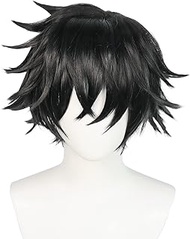 Anime The rising of the shield hero Cosplay Wig, Naofumi Iwatani Black Short Hair Role Play Wigs With Wig Cap, for Party Daily Halloween