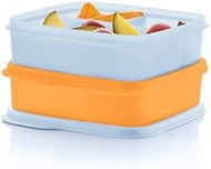 Tupperware Lunch-It Portion &amp; Go Compact 2-Lunch Box Set - Dishwasher Safe &amp; BPA Free - (2.3 Cups/550 ml)