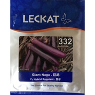 * ORIGINAL * Leckat F1 Giant Naga Eggplant 332 10g / biji benih " ready stock "