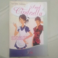 Seoul Cinderella Fiction Novel