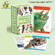 พร้อมส่ง *ลิขสิทธิ์แท้* แฟลชการ์ภาพสัตว์ 168 ใบ Our World in Pictures Animals of the World Flash Car