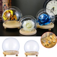 TOPBEAUTY Glass cloche Plants Terrarium Tabletop Spherical Transparent Bottle Glass Vase Jar Flower Storage box
