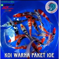 Mix Color Size 8~10cm package 10E