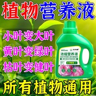 Universal Concentrated Plant Nutrient Solution Green Resurrection Liquid Fertilizer Organic Flower Fertilizer Compound F