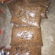 bako rasa surya